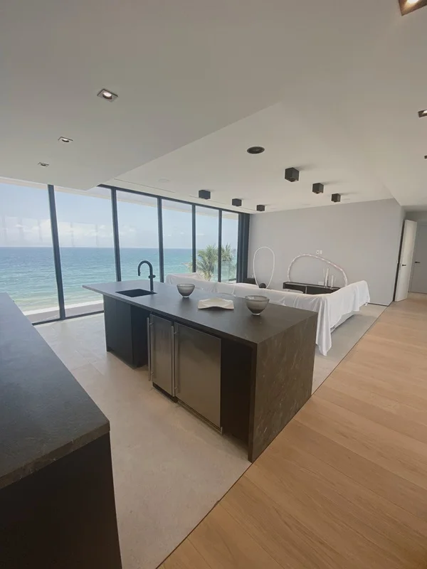 House cleaning service. Image of the kitchen and living room